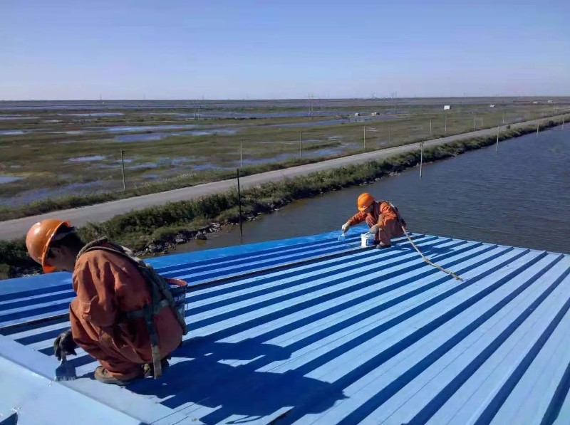 运粮湖管理区钢结构屋面漏水原因